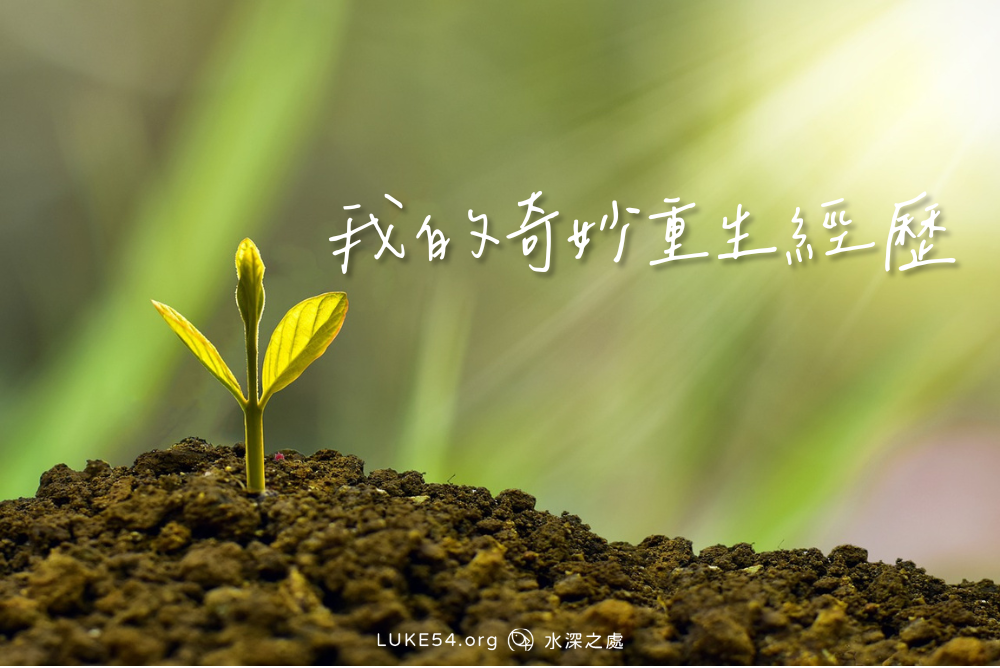 我的奇妙重生經歷