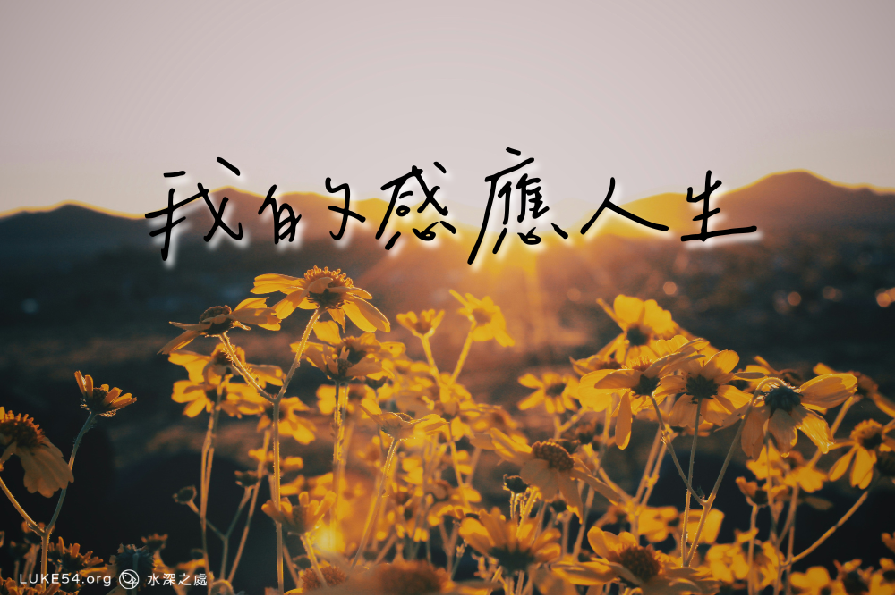 選擇預知？或遇見？－我的感應人生