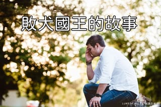 敗犬國王的故事