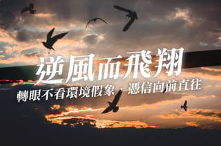 在復活裡擁抱環境,領略神的良善,進入祂對我們的美好計劃