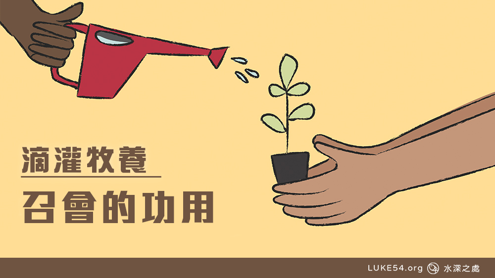 召會的功用