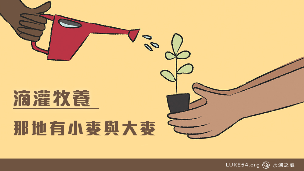 那地有小麥與大麥