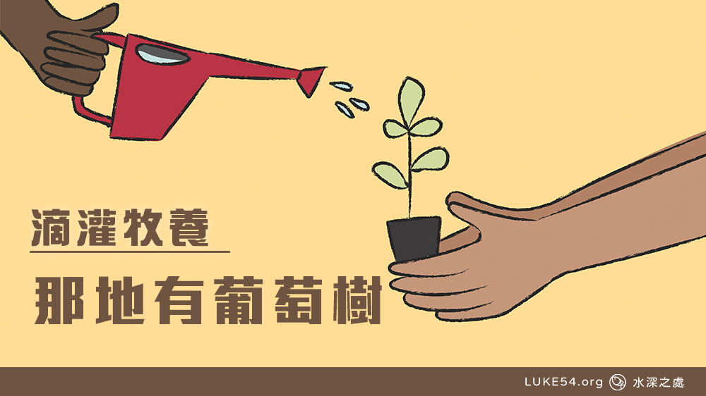 那地有葡萄樹