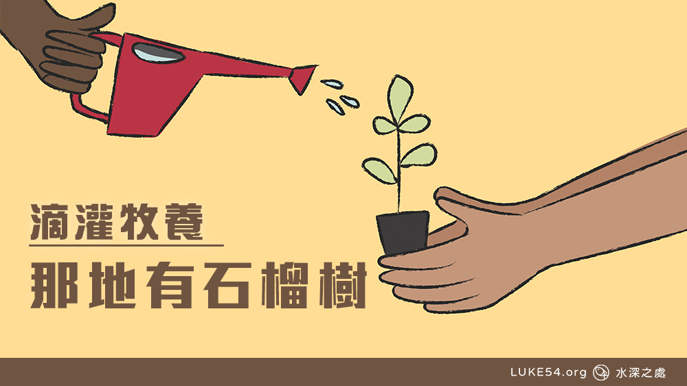 那地有石榴樹
