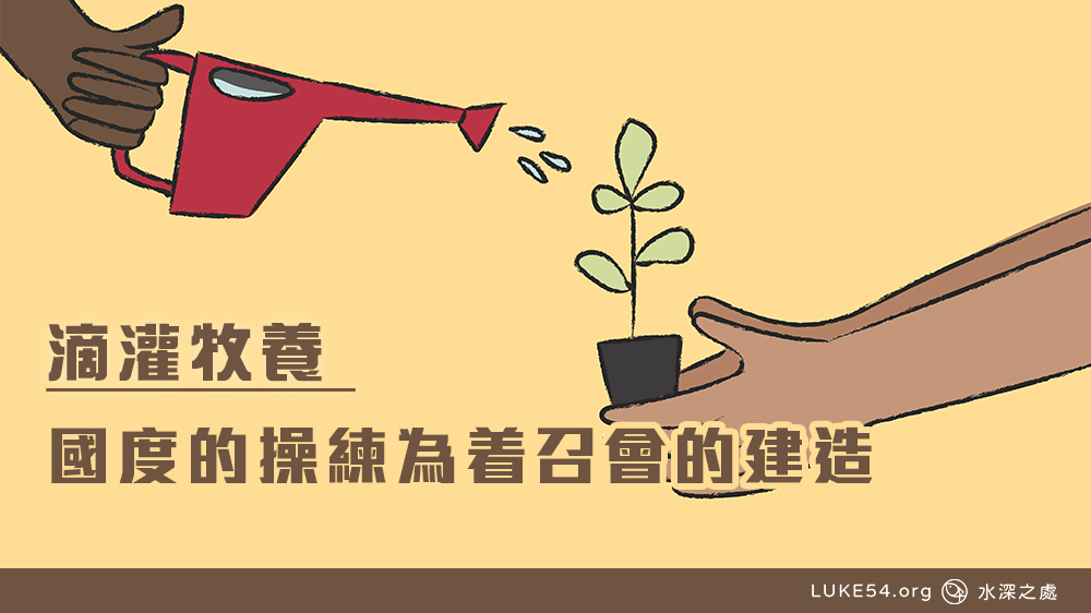 國度的操練為着召會的建造