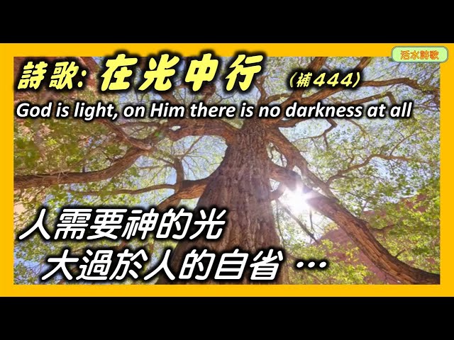 活水詩歌:在光中行 God is light in him there is no darkness at all (Frank Scavo) 人需要神的光,大過於自省。