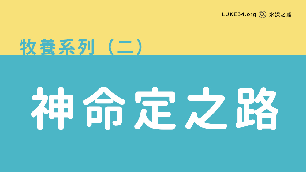 神命定之路