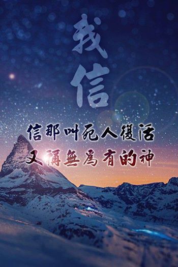 冬天的樹