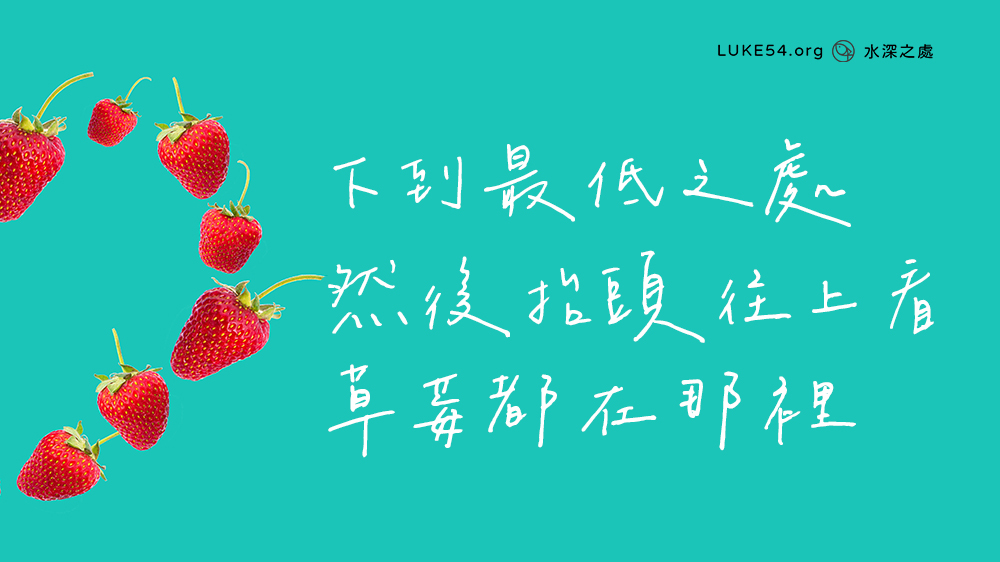 下到最低之處,然後抬頭往上看,草莓都在那裡