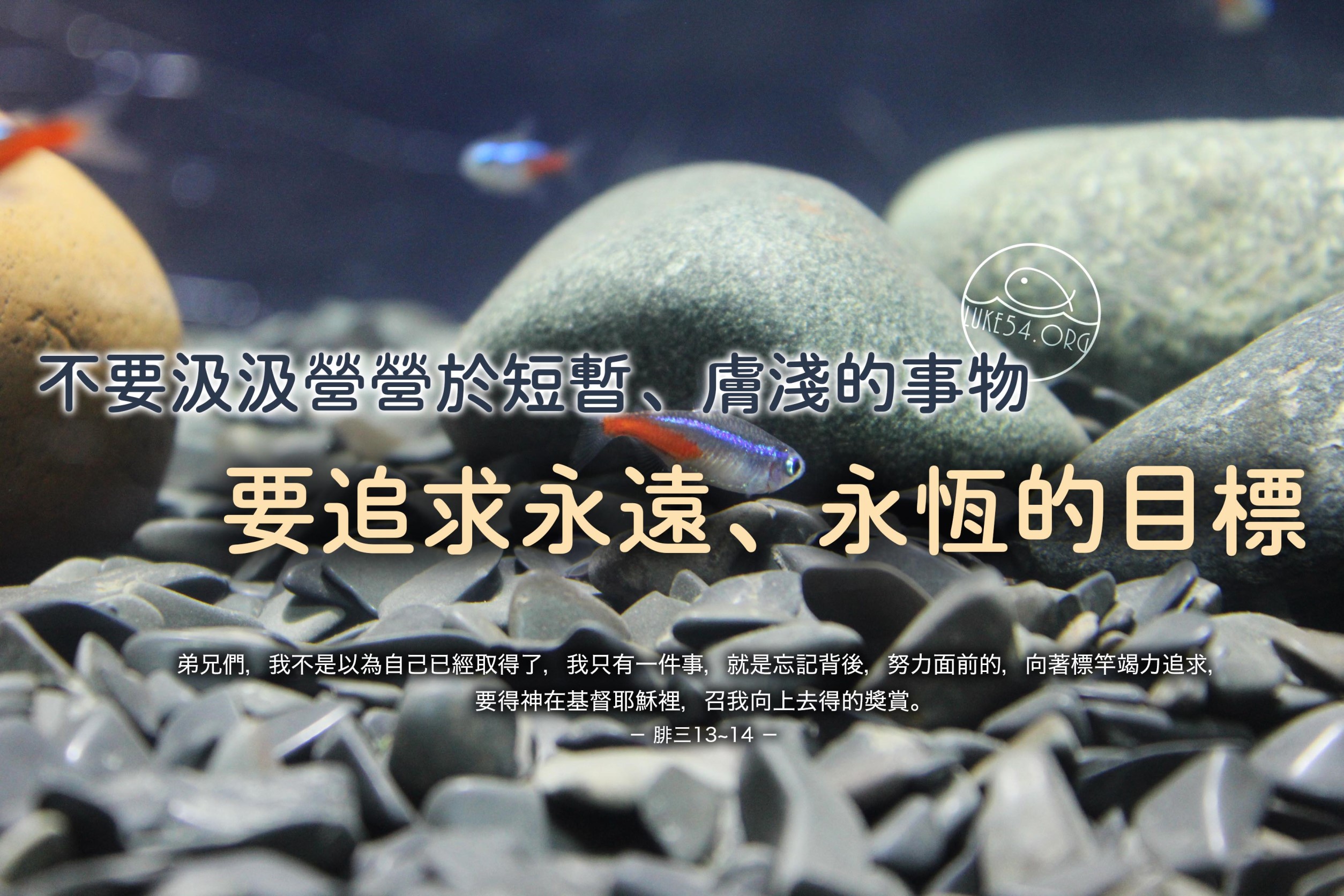 【水深LINE精選】強者魚之死