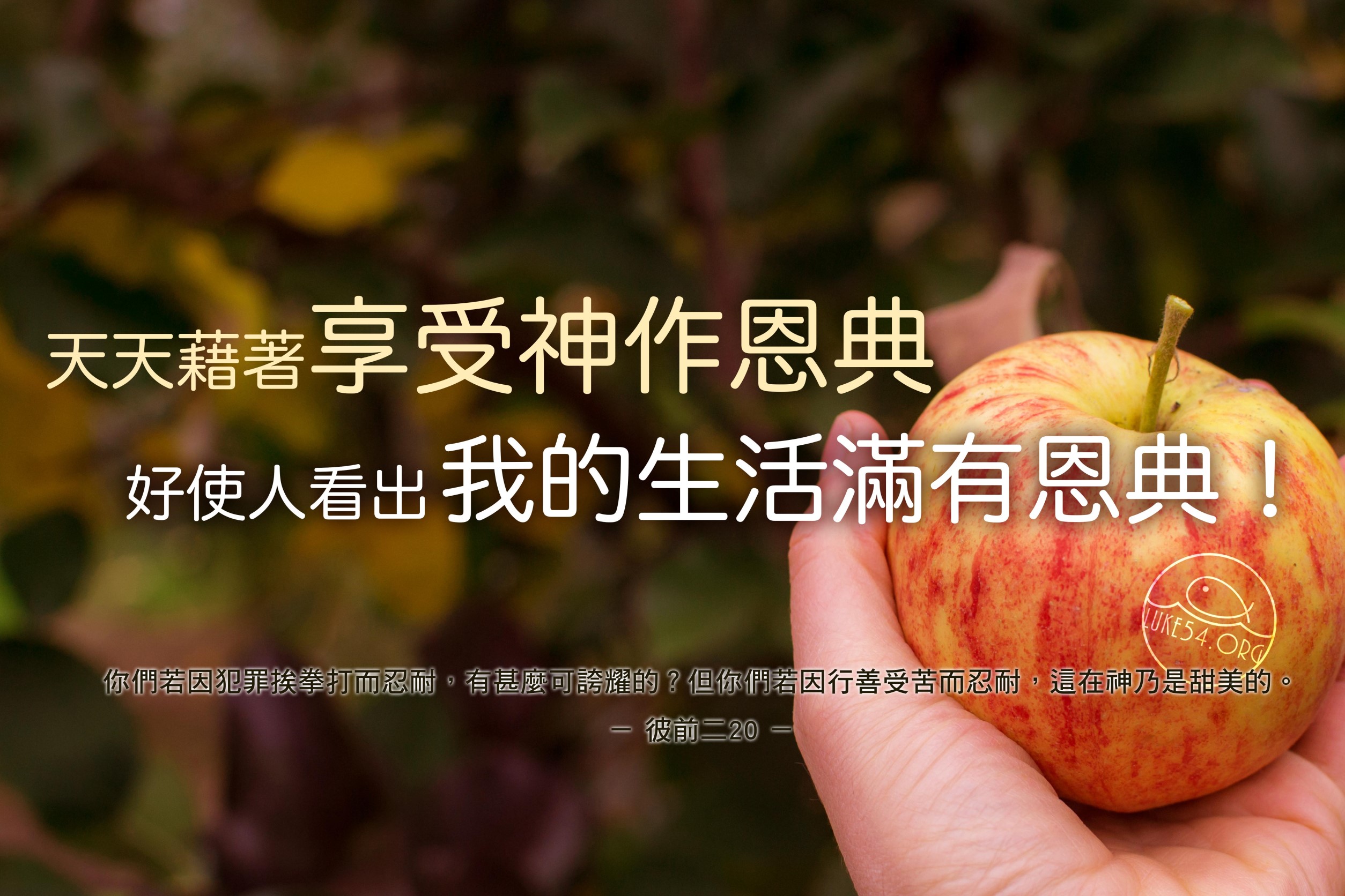【水深LINE精選】你是耶穌嗎?