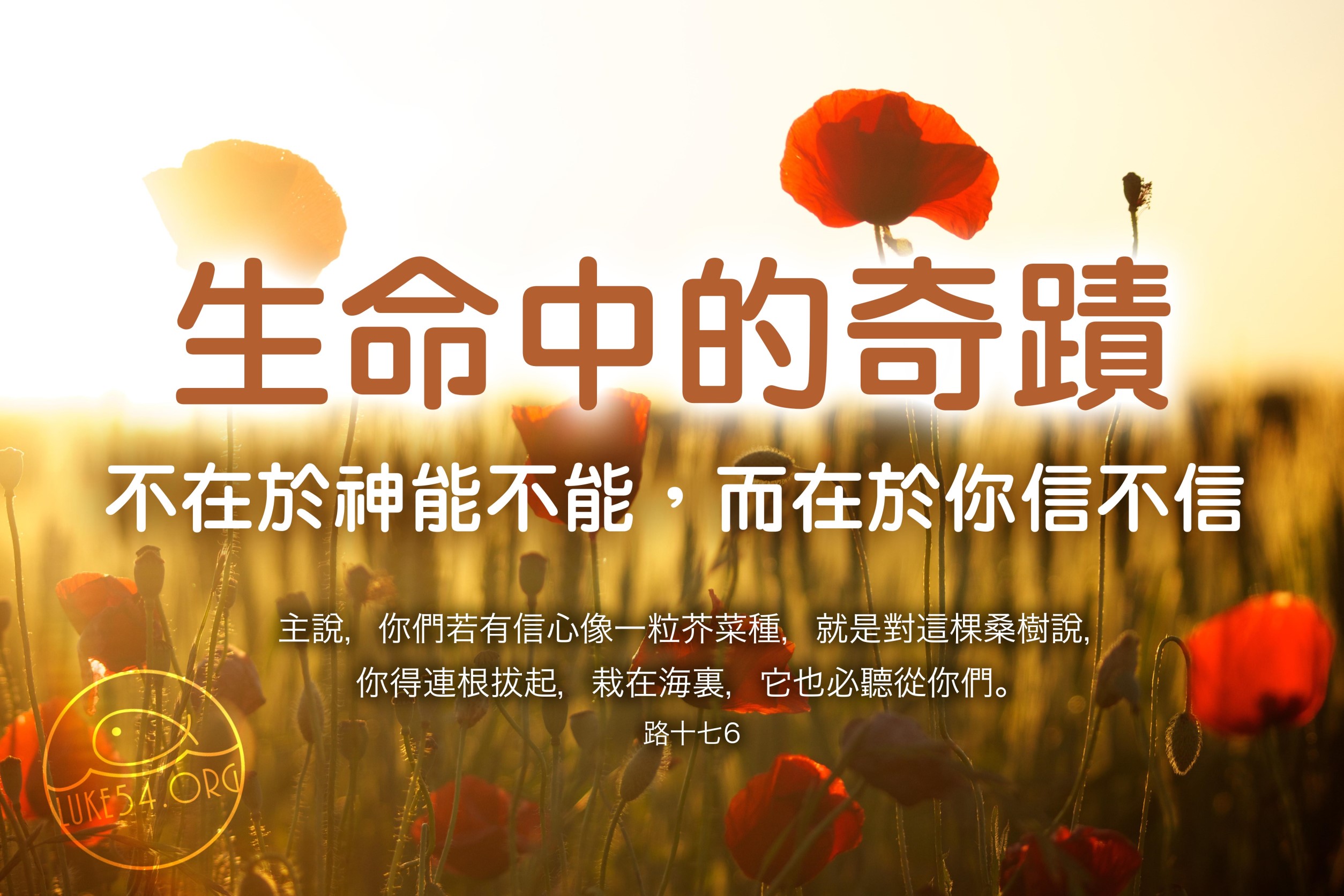 【水深LINE精選】一粒種子的信心