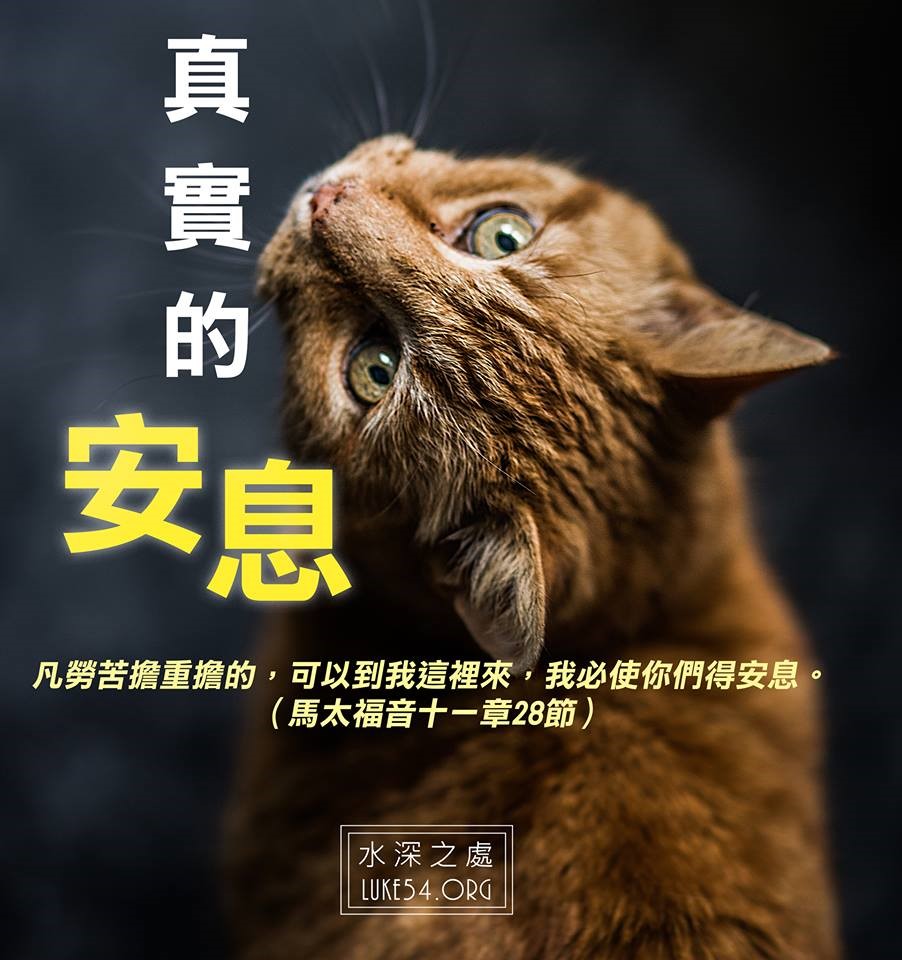 【水深LINE精選】 真實的安息
