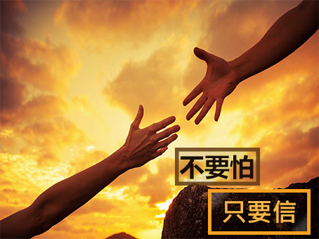 不要怕,只要信
