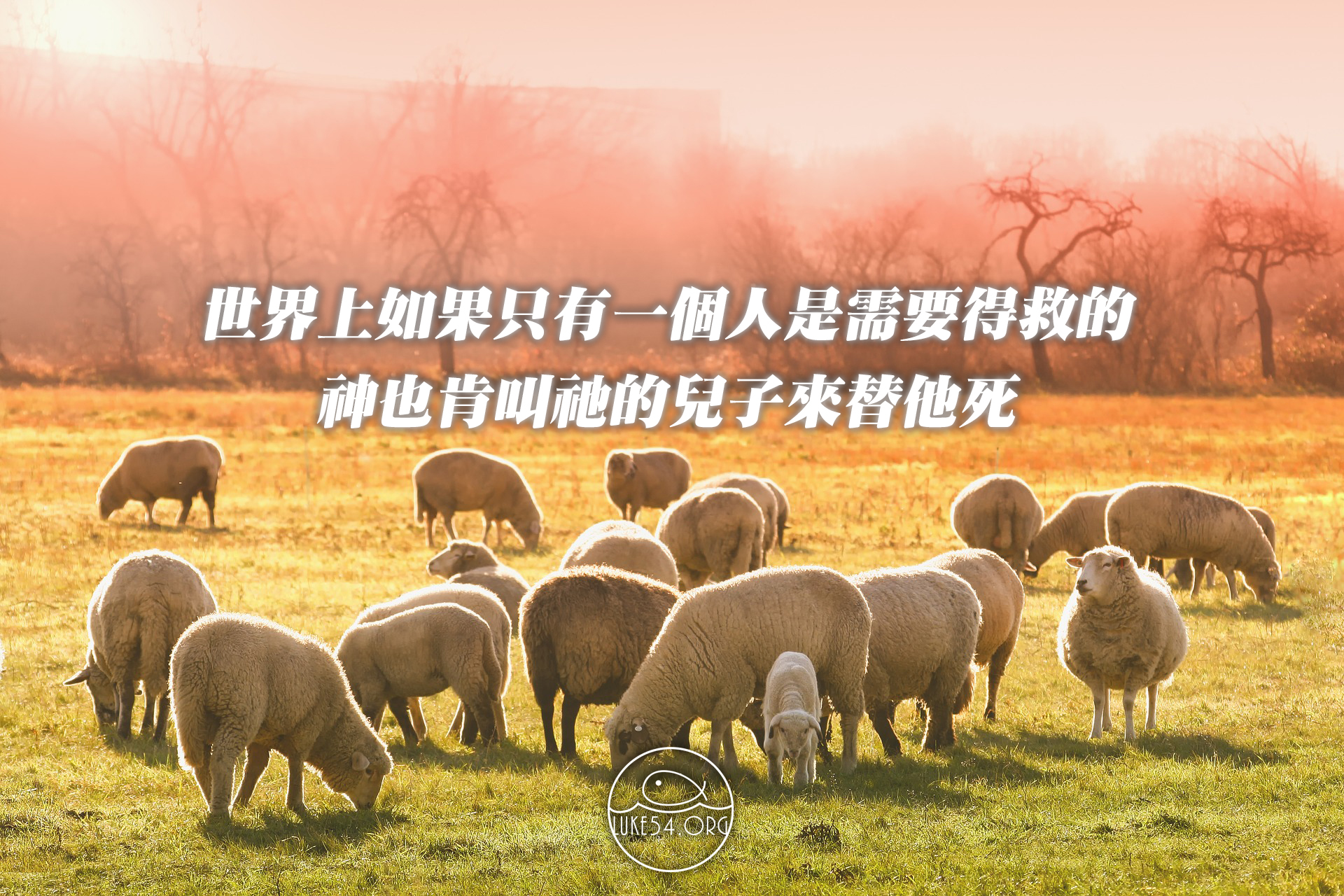如果全世界只有一個人需要得救