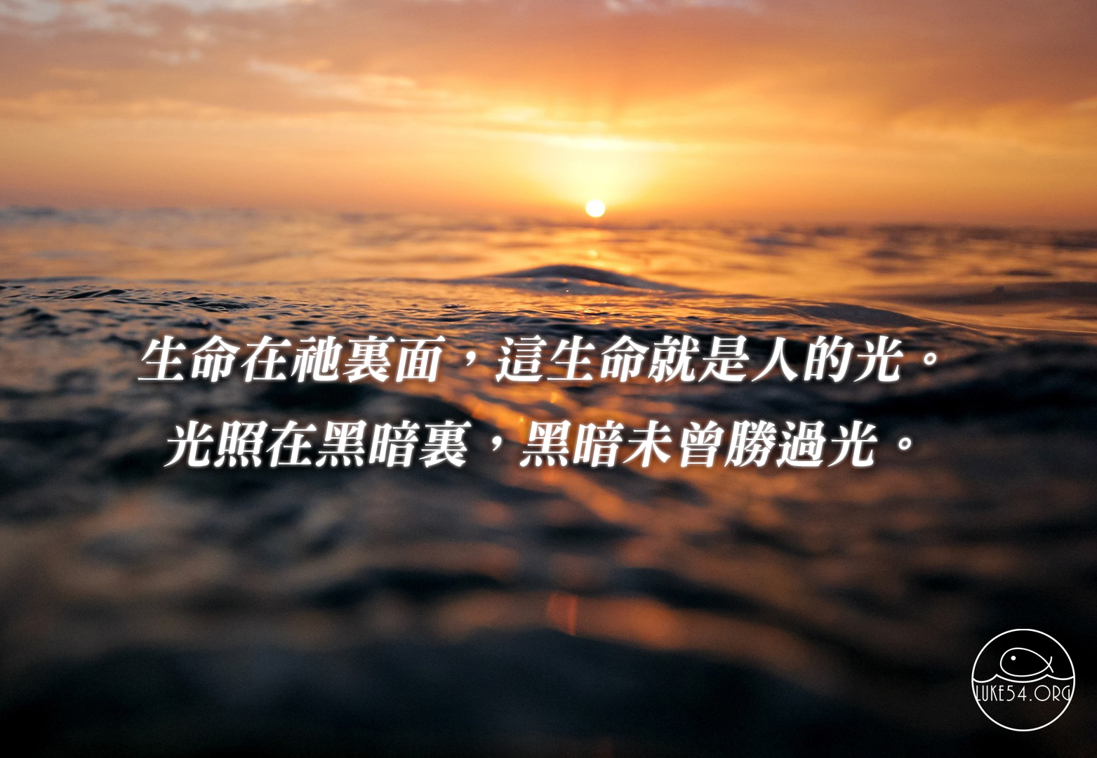 生命的光使我們得自由