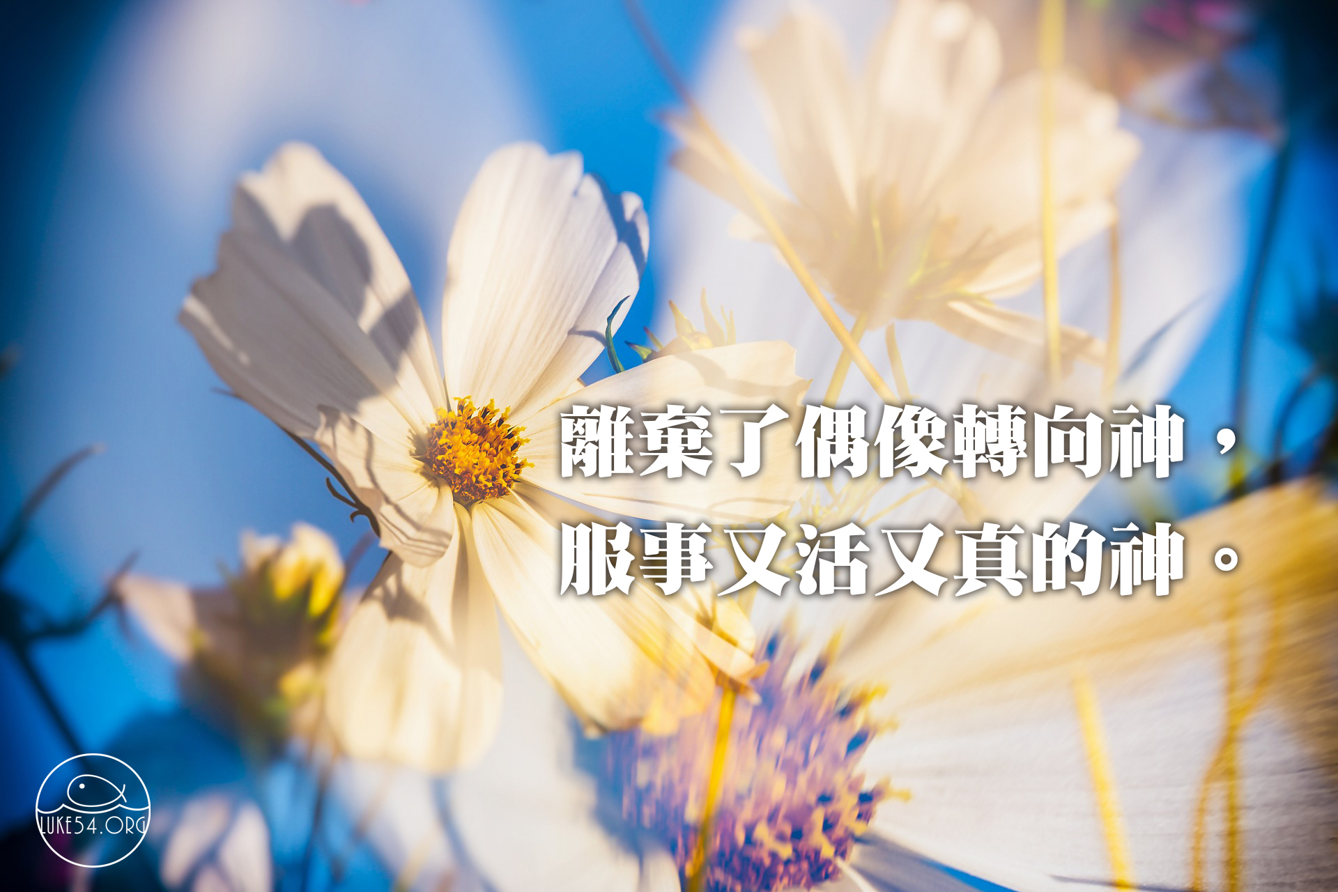 離棄偶像轉向神