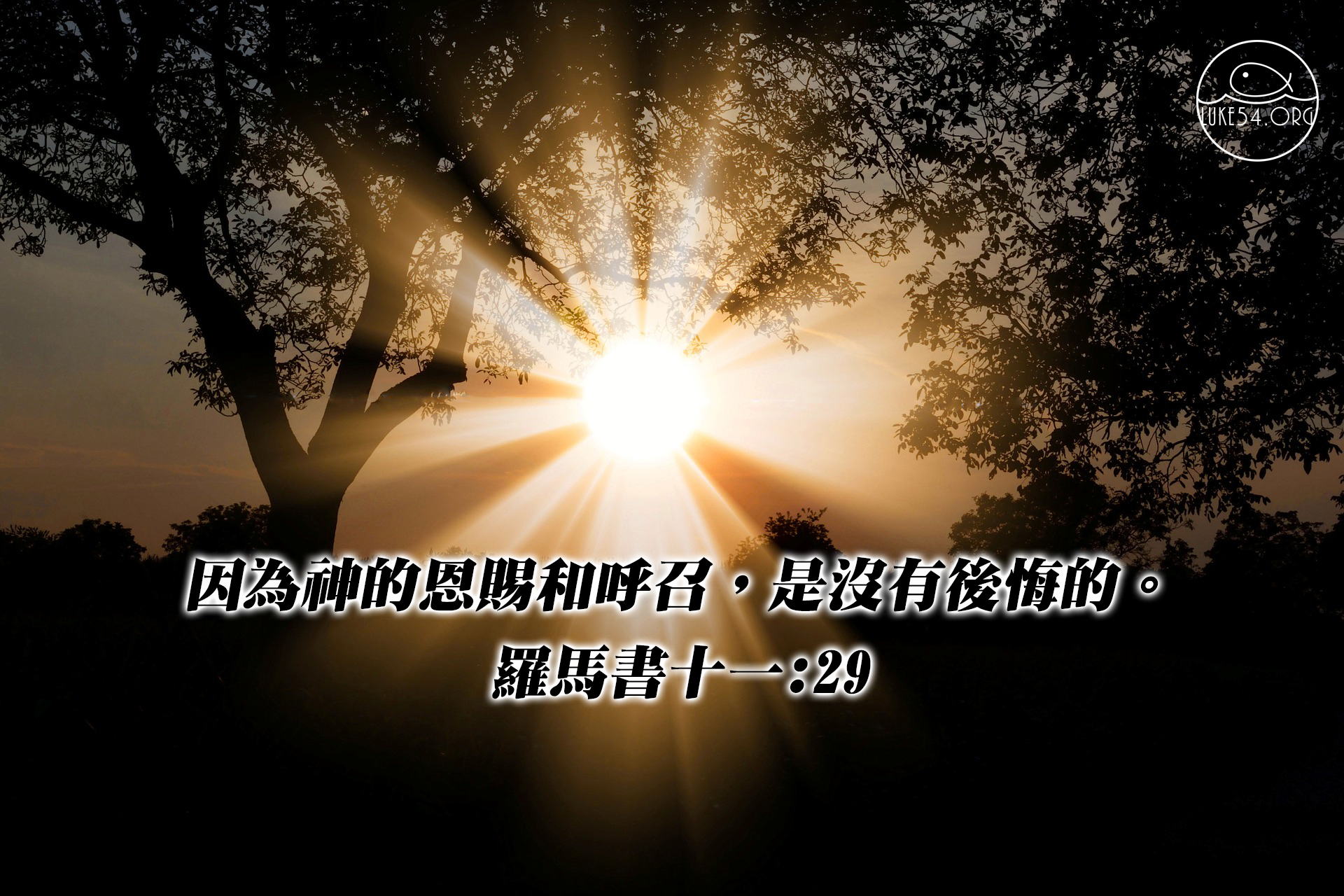 神的恩賜和呼召，沒有後悔