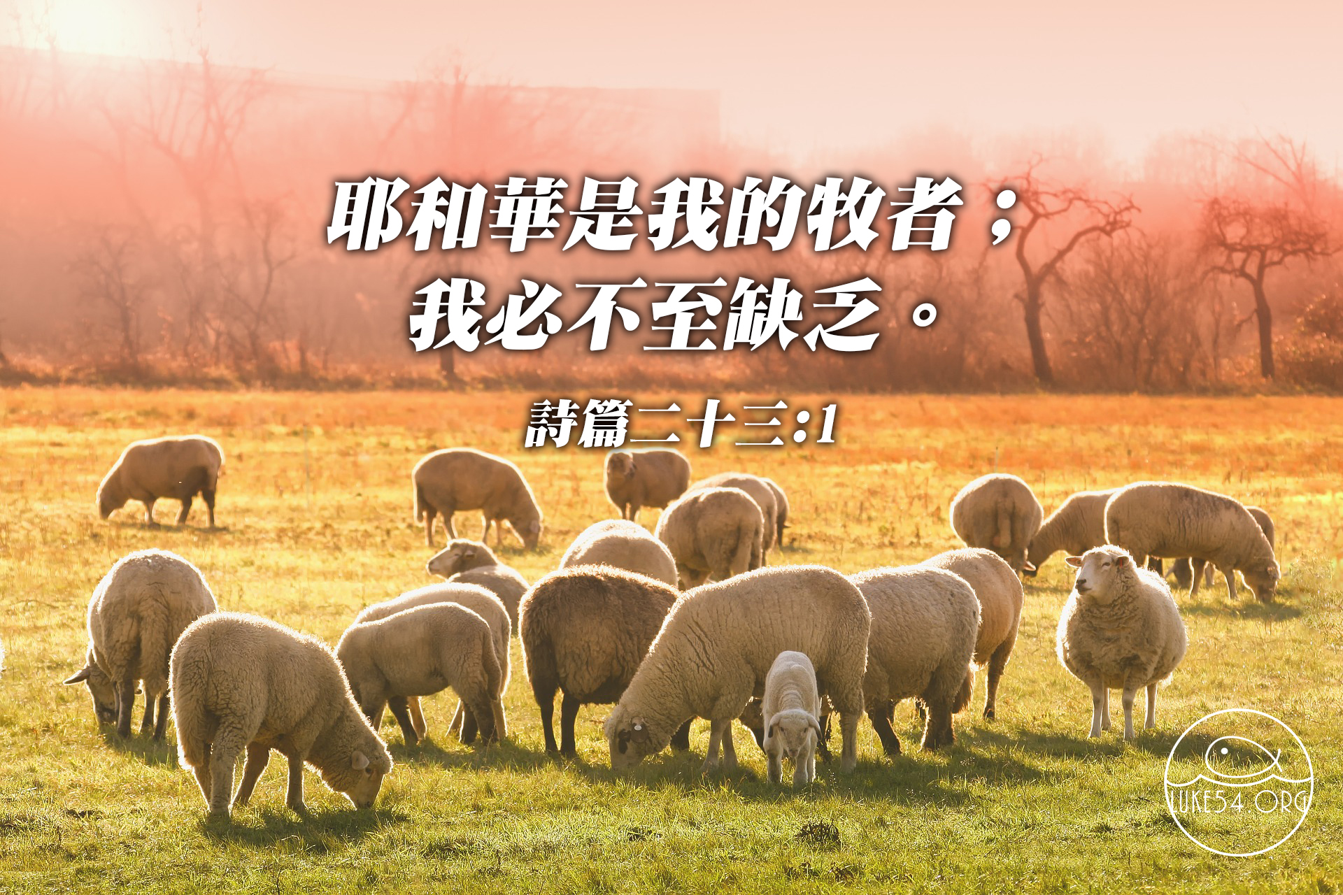 主耶穌─我魂的牧人