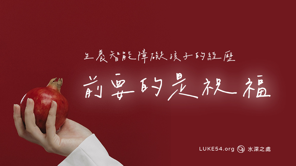 前要的是祝福－生養智能障礙孩子的經歷