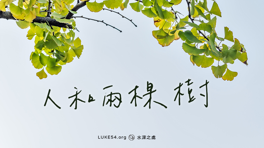 人和兩棵樹