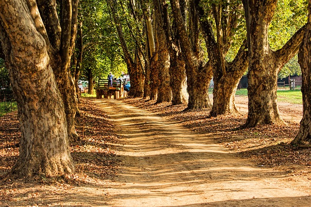 【如何明白神的旨意#02】從聖經到聖靈