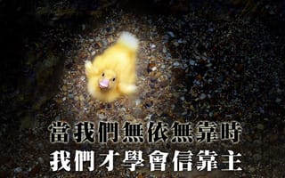 恩典之路(下篇)