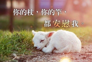 一則LINE訊息的眼淚