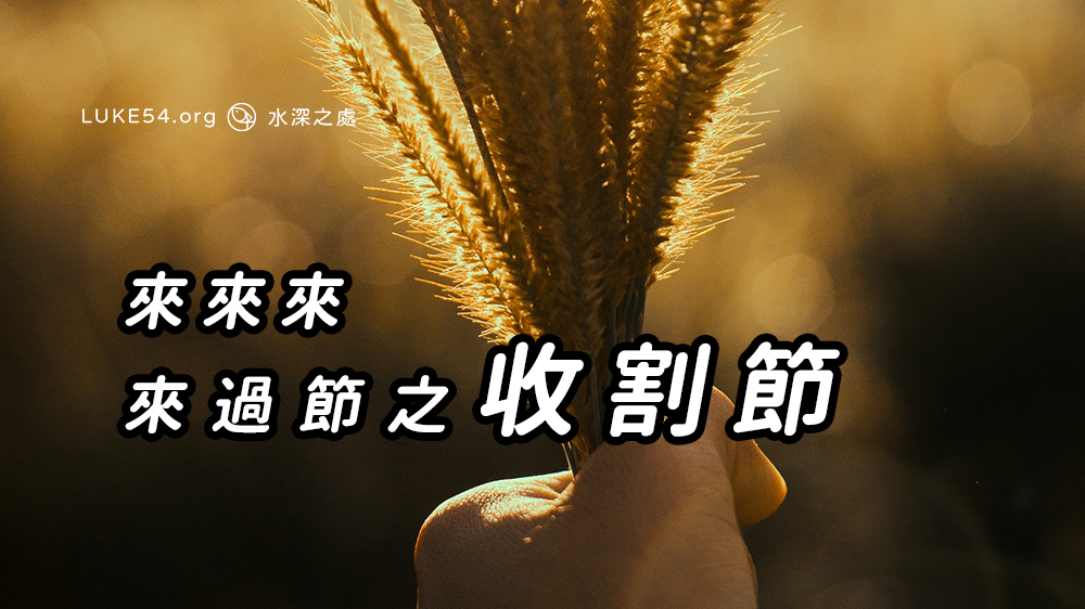 來來來,來過節之收割節
