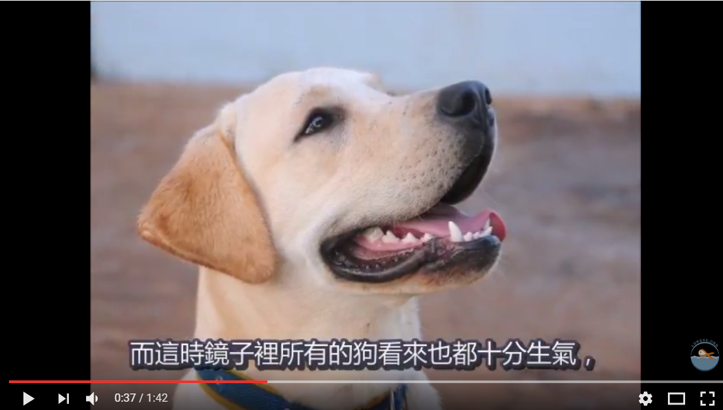 【水深聽故事】微笑一下有何妨