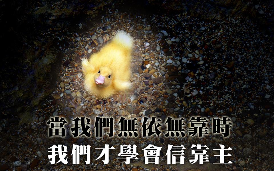 恩典之路(下篇)