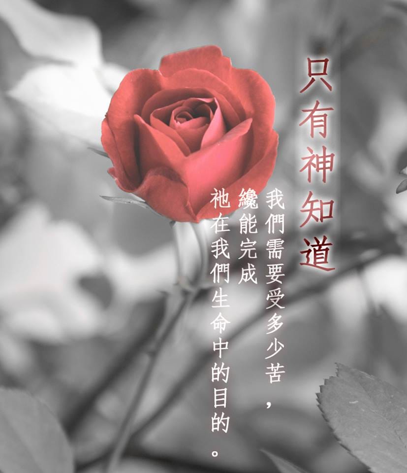 【水深圖文集】只有神知道