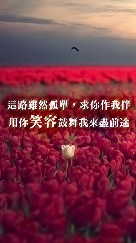 【水深圖文集】主你的笑容是我唯一的鼓舞