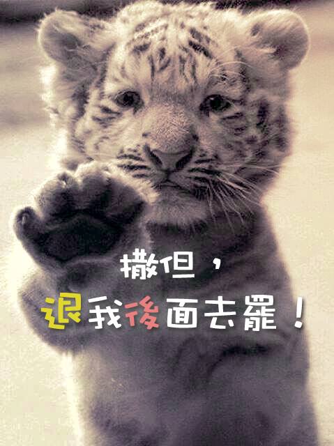 【水深圖文集】撒但,退我後面去罷!