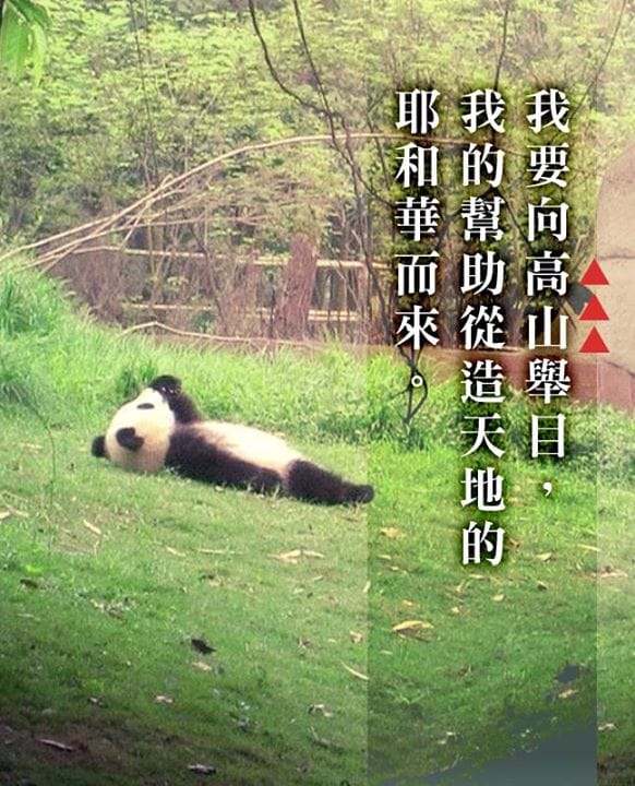 【水深圖文集】我的幫助從何而來