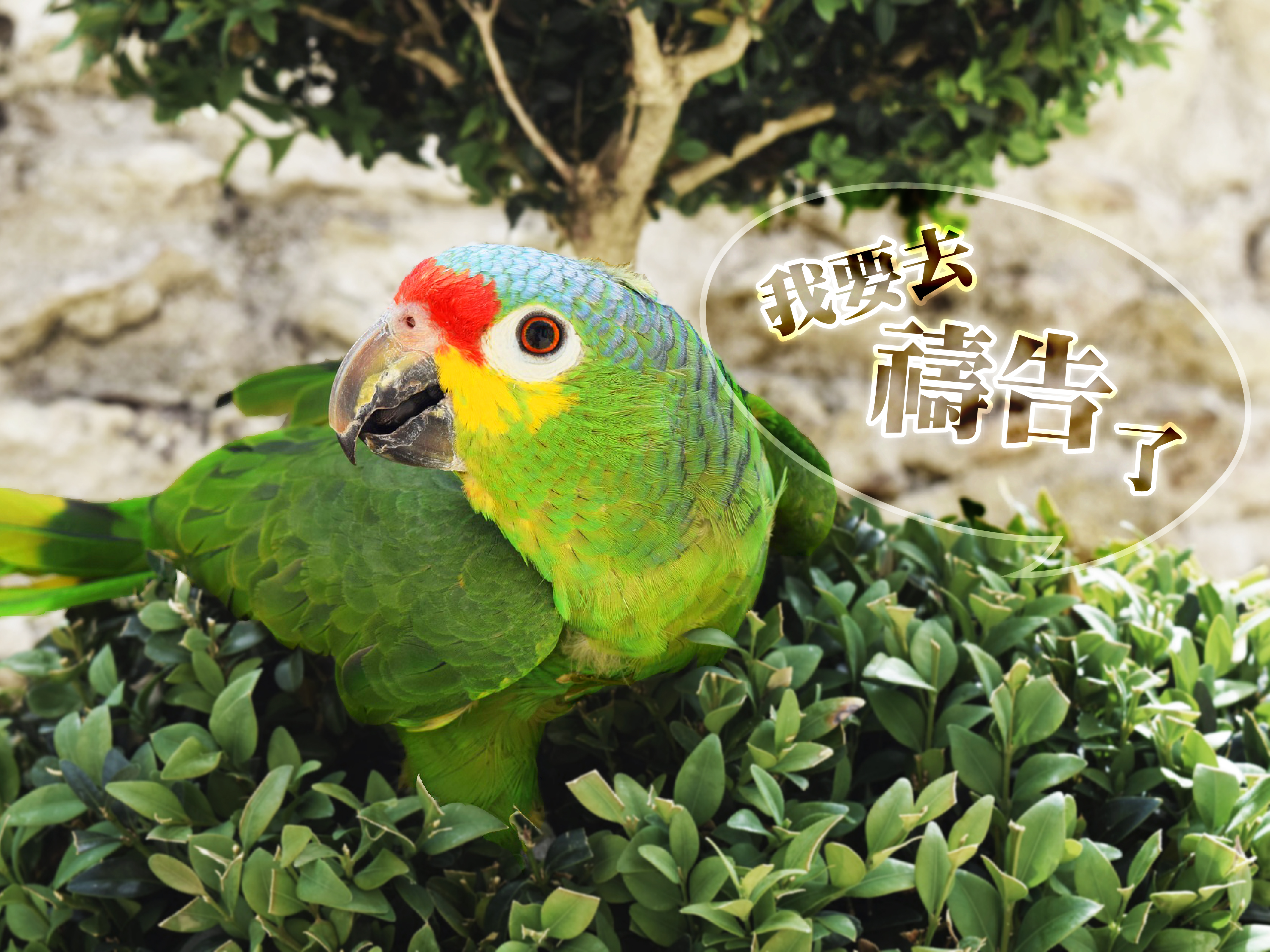 【性格的故事】每天吃兩頓早餐