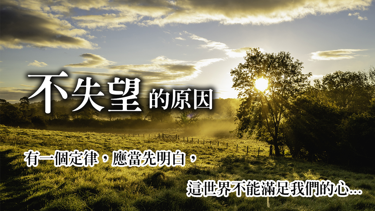 不失望的原因