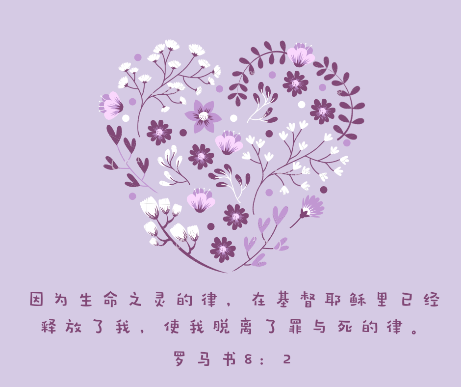 生命之灵的律释放了我