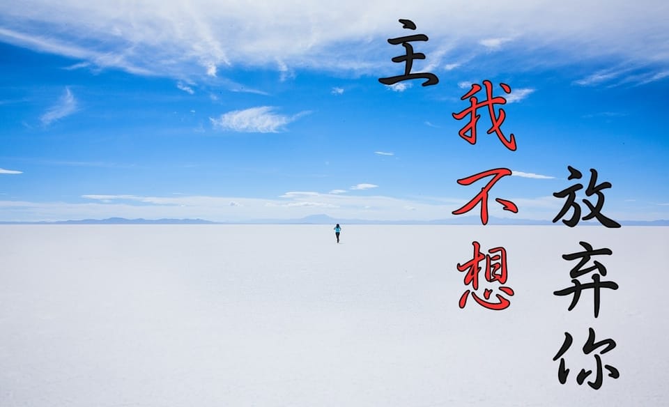 主，我不想放弃你