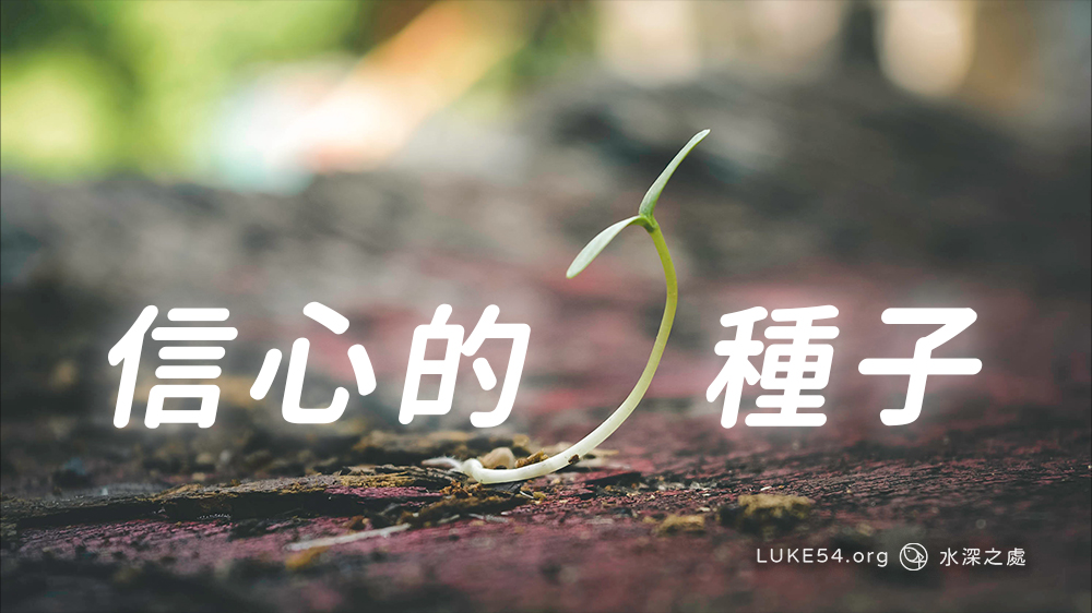 【小故事】信心的種子