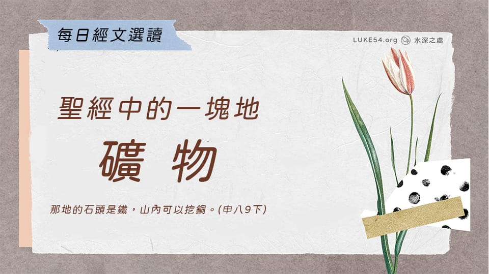 聖經中的一塊地《十一》礦物