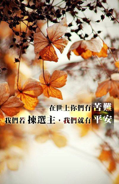 [中英圖文系列]我已經勝了世界