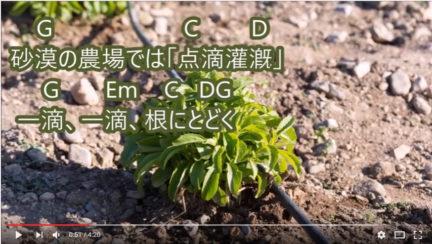 日文詩歌：点滴灌漑 (Drip irrigation;滴灌)