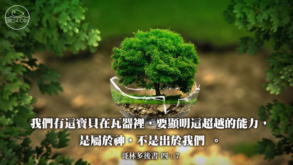 寶貝在瓦器裡