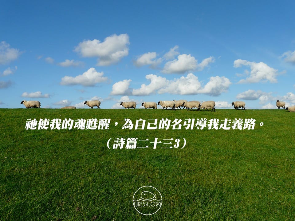在凡事上成為對的
