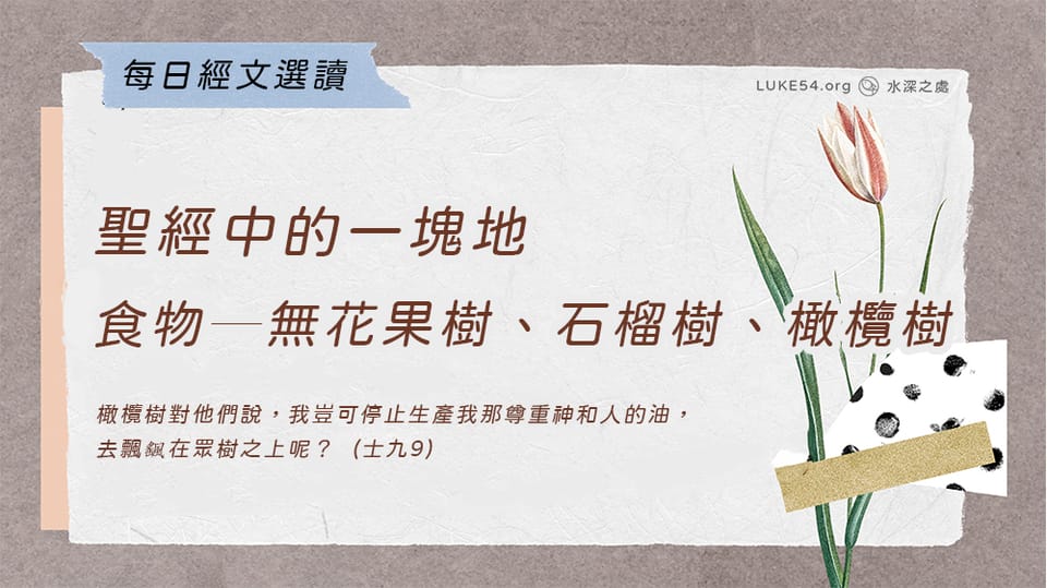 聖經中的一塊地《九》食物─無花果樹、石榴樹、橄欖樹