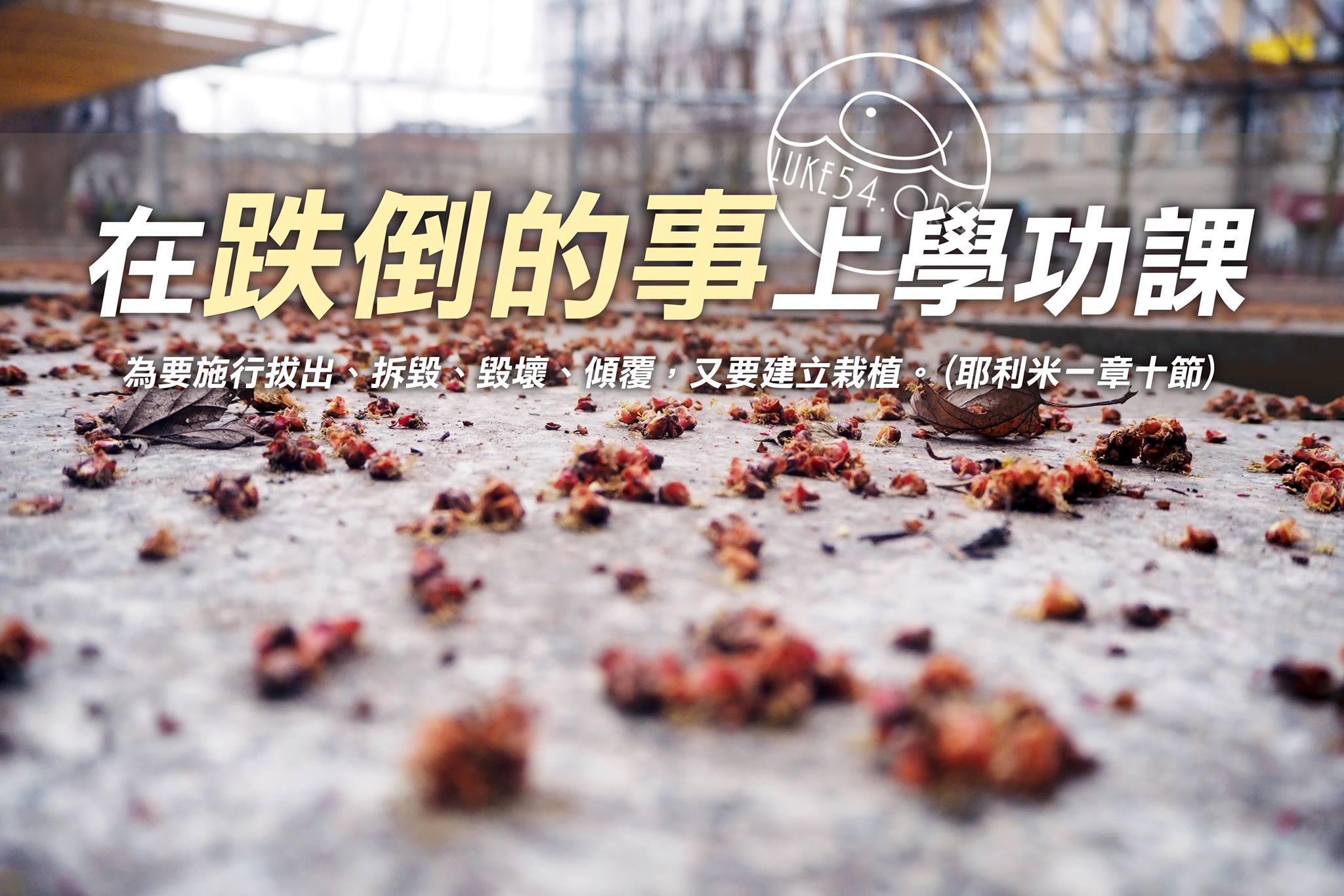 在跌倒的事上學功課