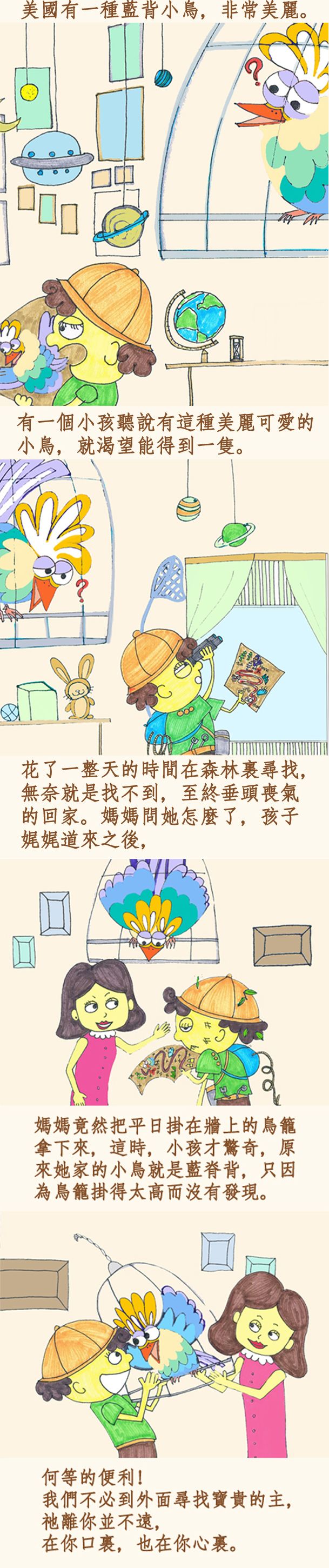 藍背小鳥
