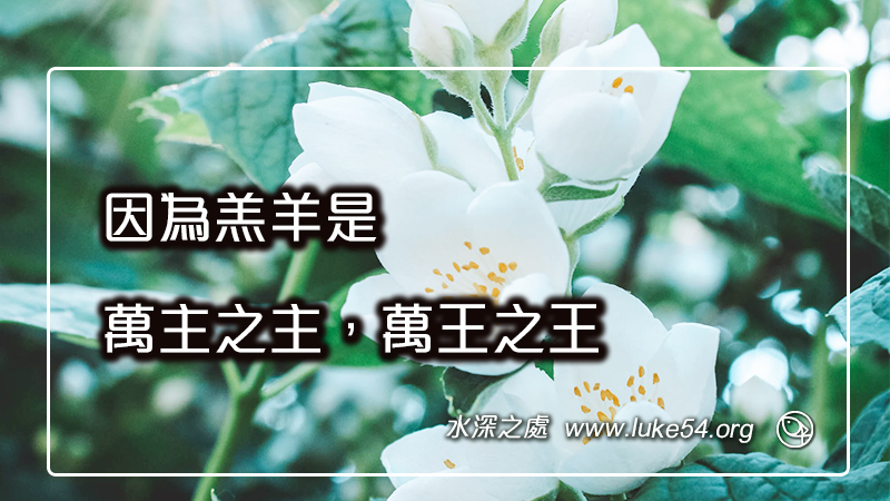 因為羔羊是萬主之主，萬王之王
