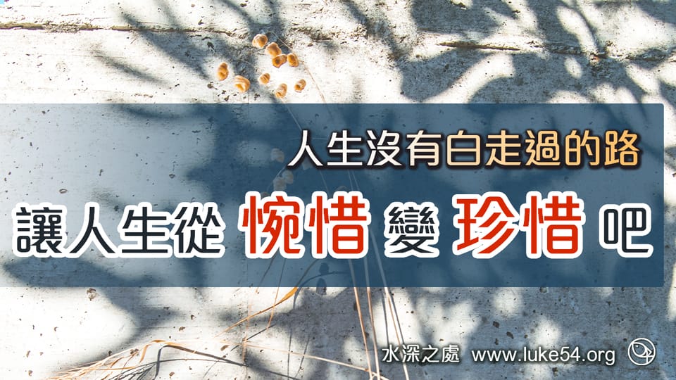人生沒有白走過的路,讓人生從惋惜變珍惜吧...